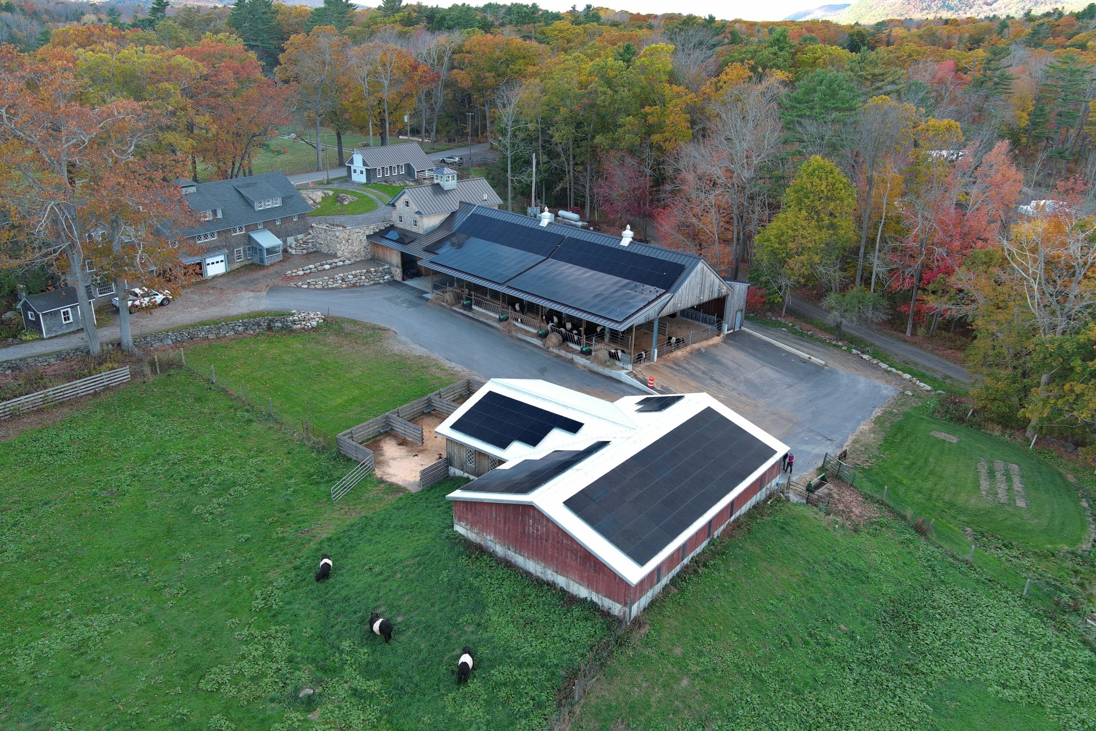 Aldermere Farm solar panels