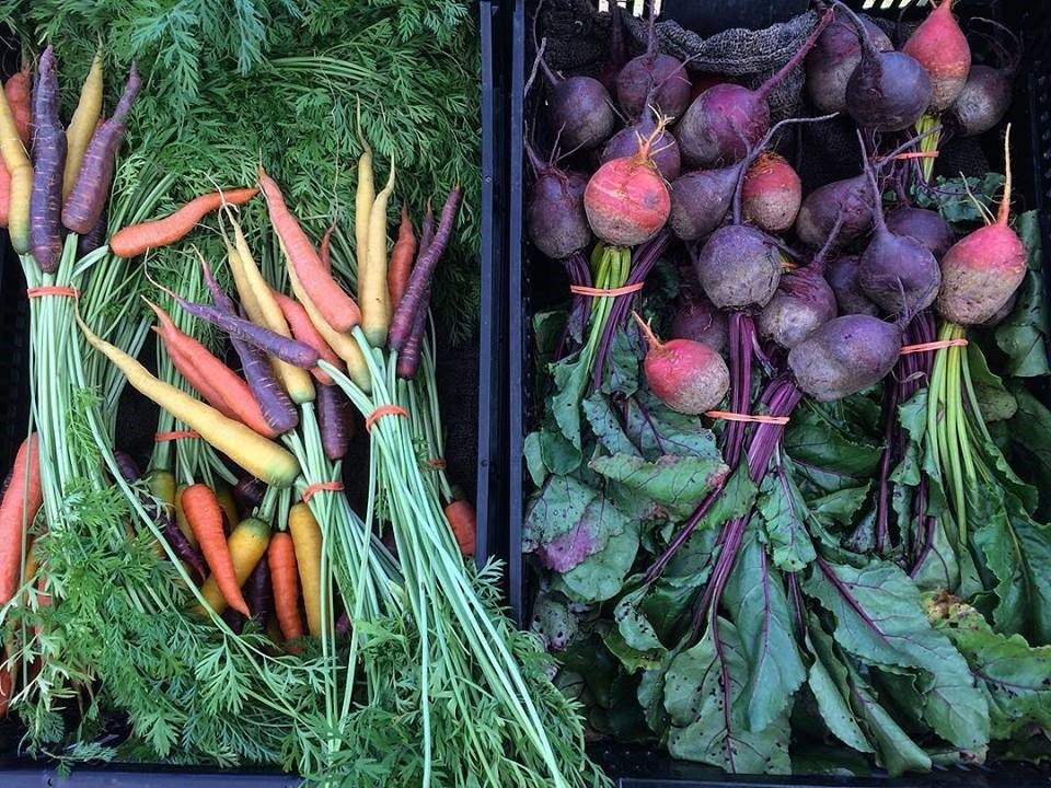 Photo credit: Dharma Farm, Washington ME